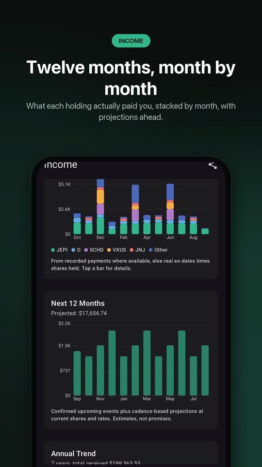 Holdwise monthly income chart