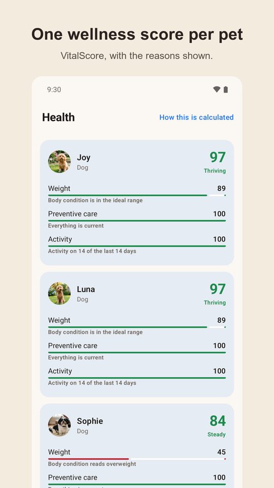 VitalLedger wellness score