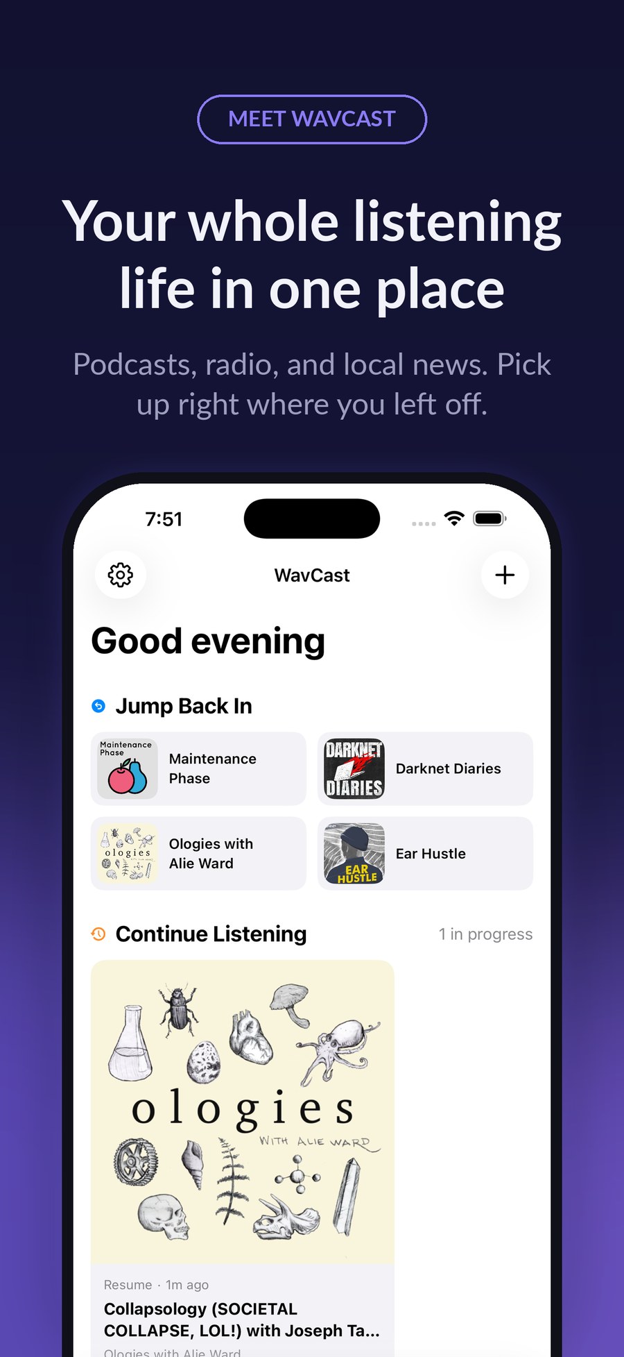 WavCast on iPhone